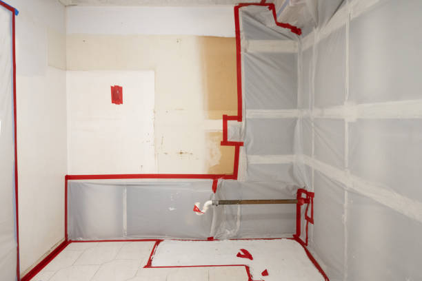 Best Forensic Mold Investigation  in West Palm Beach, FL