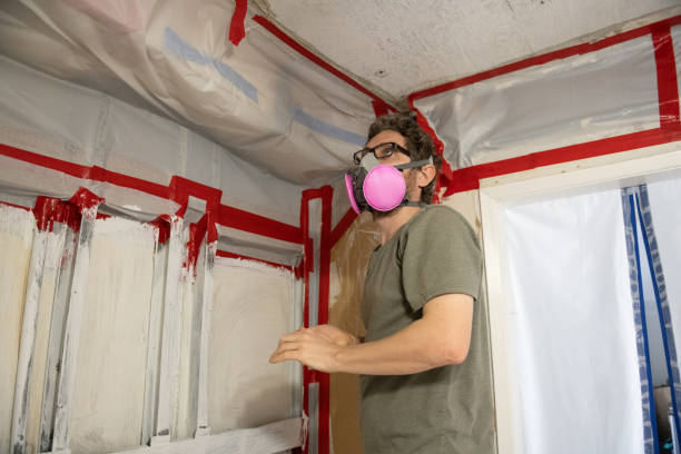 Professional Mold Removal in West Palm Beach, FL
