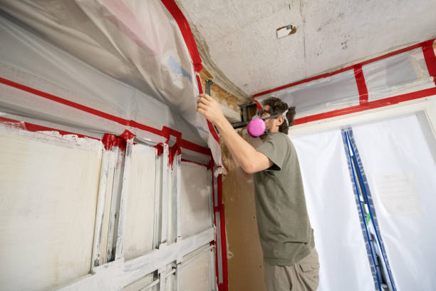 Best Biohazard Mold Removal  in West Palm Beach, FL