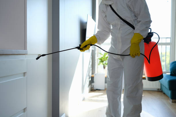 Best Mold Remediation for Healthcare Facilities  in West Palm Beach, FL