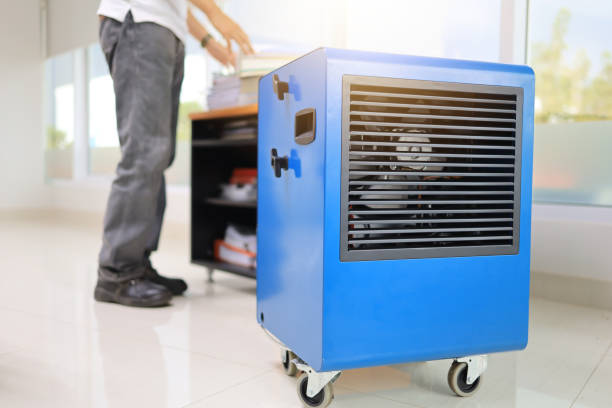 Best Mold Damage Restoration  in West Palm Beach, FL