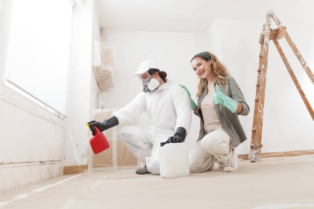 Best Post-Construction Mold Inspection  in West Palm Beach, FL
