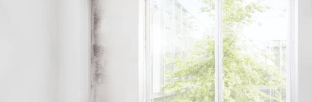 Best Indoor Air Quality Assessment  in West Palm Beach, FL