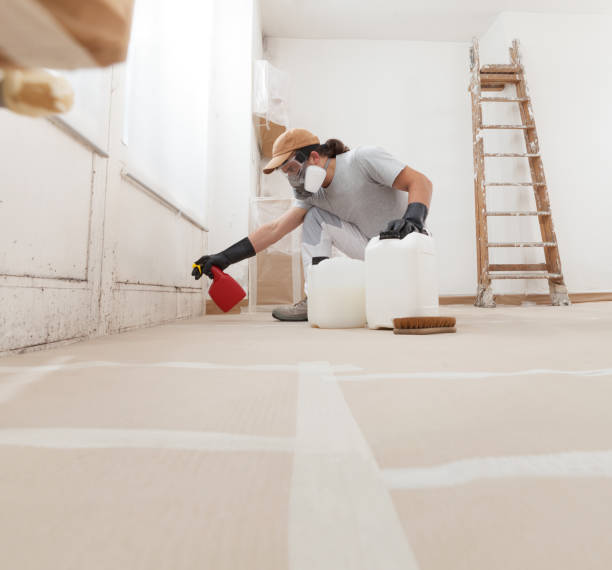 Best Commercial Mold Inspection  in West Palm Beach, FL